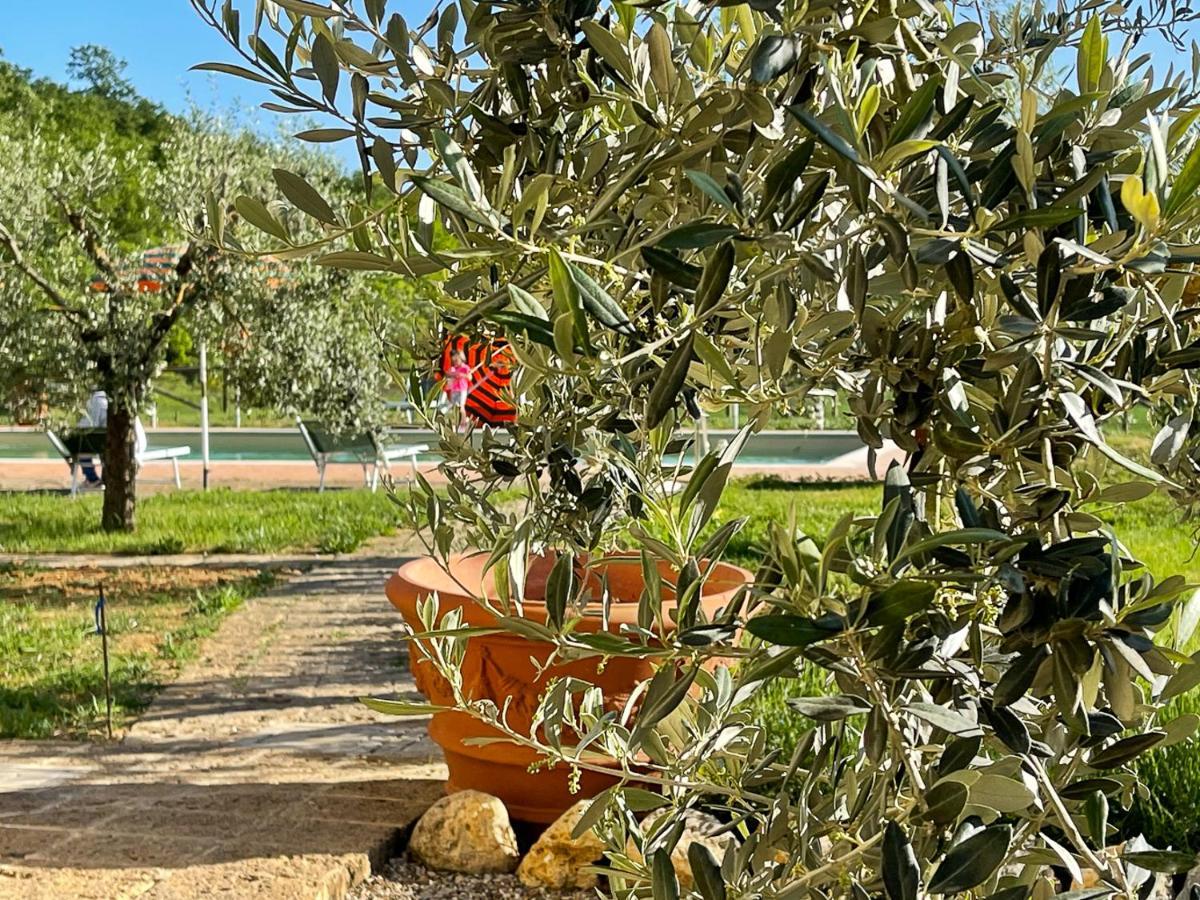 Exclusive Villa With Pool Borgo Pian Di Sala San Gimignano Exterior foto
